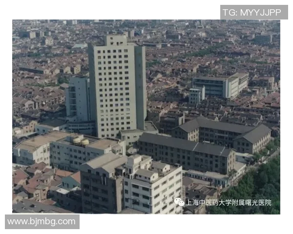 上海羽毛球队的拼搏历程与荣耀时刻全景回顾 上海羽毛球队的拼搏历程与荣耀时刻全景回顾