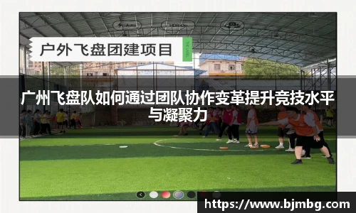 广州飞盘队如何通过团队协作变革提升竞技水平与凝聚力
