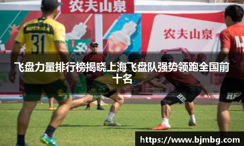 飞盘力量排行榜揭晓上海飞盘队强势领跑全国前十名