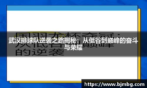 武汉排球队逆袭之路揭秘：从低谷到巅峰的奋斗与荣耀