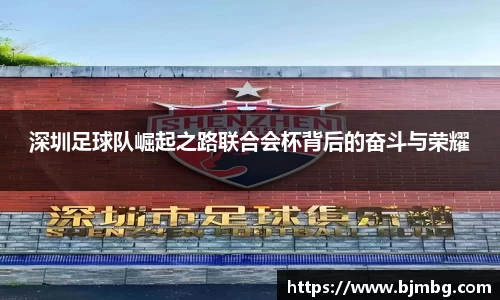 深圳足球队崛起之路联合会杯背后的奋斗与荣耀